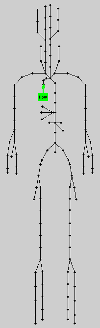 Westerhof model